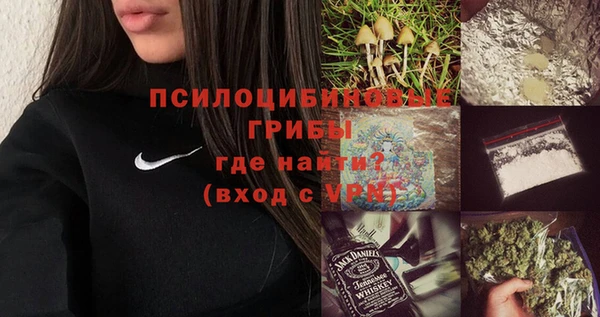 ПСИЛОЦИБИНОВЫЕ ГРИБЫ Киреевск