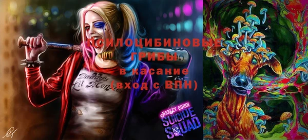 шишки Карталы