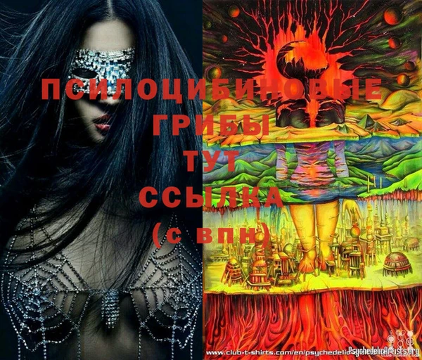 ПСИЛОЦИБИНОВЫЕ ГРИБЫ Киреевск